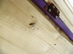 A naughty video from a beach changing room