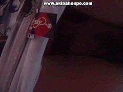 Akibahonpo - 7184-01h