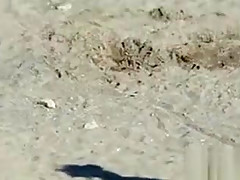 Amateur Nude Beach MILFs Close Up
