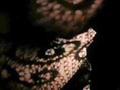 Amateur bbw playing with glass dildo and buttplug