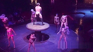 Amateur swinger couples practice with foreplay before starting the sexiest experience of their lives