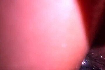Anal Plug And Creampie