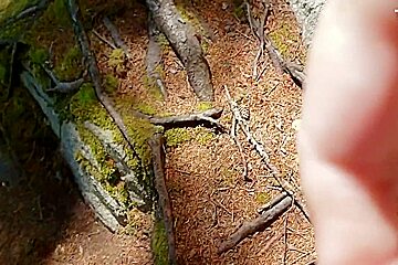 Anita Coxhard Strips Naked And Gives Mike Coxhard A Handjob While Hiking In Maine