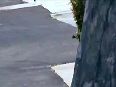 Another fake