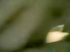 Arab couple pov blowjob, missionary and doggystyle sex