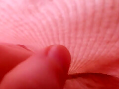 Asmr Playing With My Panties And Clit! Camera Inside Panties!