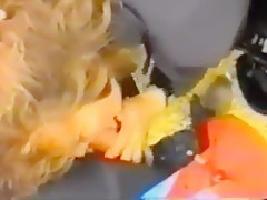Astonishing adult clip Amateur homemade try to watch for unique