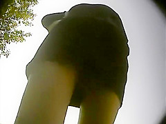 Attractive Girl Wearing A Short Skirt Gets Caught On A Hidd
