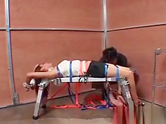 BDSM torture for nasty brunette nymph fucked while tied up