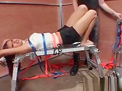 BDSM torture for nasty brunette nymph fucked while tied up