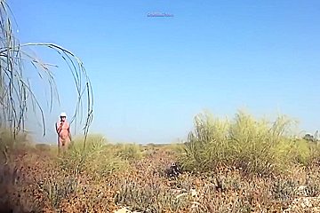 Beach Inspector 36