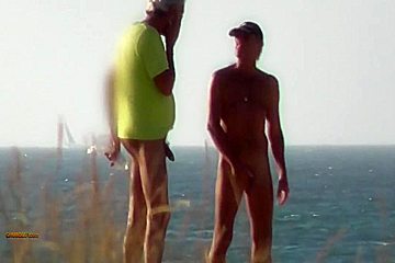 Beach Inspector 36