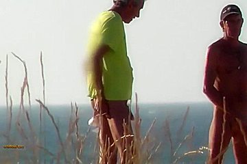 Beach Inspector 36