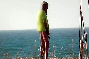 Beach Inspector 36