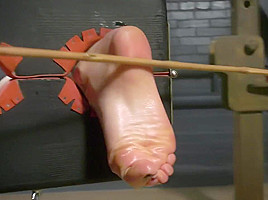 Best xxx scene Hogtied check only here
