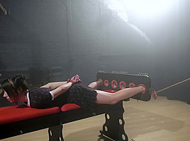Best xxx scene Hogtied check only here