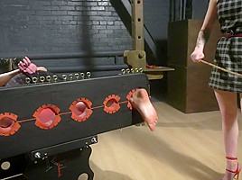 Best xxx scene Hogtied check only here