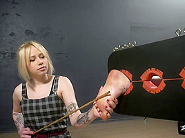 Best xxx scene Hogtied check only here