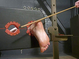 Best xxx scene Hogtied check only here