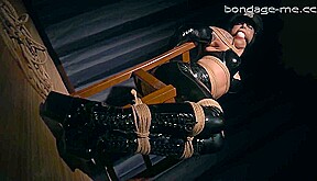 Bondage Compilation