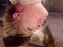 Busty gagged blonde Milf in hogtie
