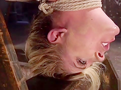 Busty gagged blonde Milf in hogtie