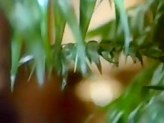 Candy Stripers Vintage Pt1 (Full Movie)