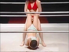 Catfight