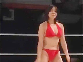 Catfight