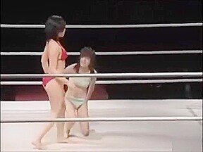 Catfight