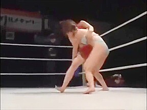 Catfight