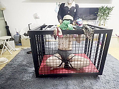 Chinese Bondage