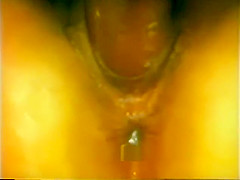 Classic Porn Loop Interracial Wht F Wht M Blk M 121