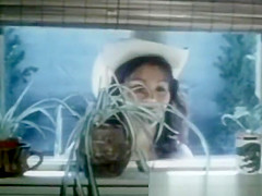Classic Sex Fun From the Seventies