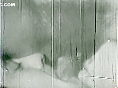 Classic Stags 211 1960s - Scene 3