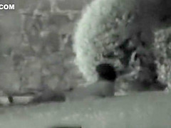 Couple fucking at night in park