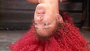 Daisy - Redhead Sas