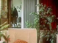Derrire le miroir sans tain, 1982