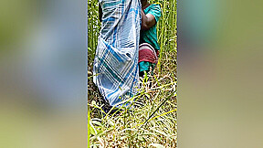 Desi Jungal Sex In Bengali