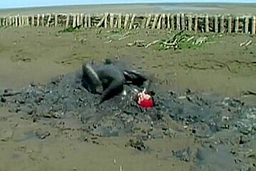 Dirty chickfight in mud