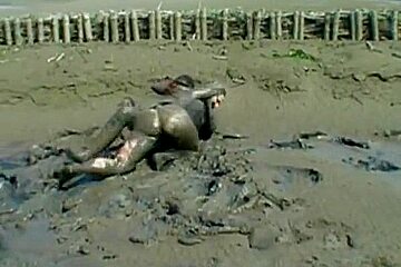 Dirty chickfight in mud