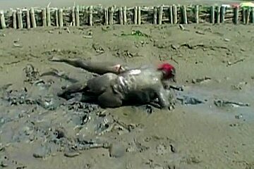 Dirty chickfight in mud