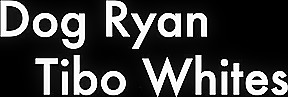 Dog Ryan And Tibo Whites