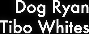 Dog Ryan And Tibo Whites