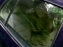 Dogging - Wife Wanda fucked by stranger