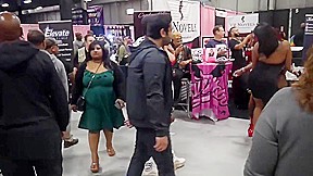 EXXXOTICA 2019