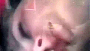Excellent xxx scene Suck unbelievable , it's amazing