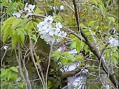 FXP231-BFRRJSTYIW501406709