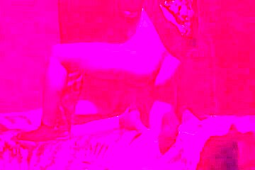 Fabulous Xxx Movie Homo Webcam Great Pretty One