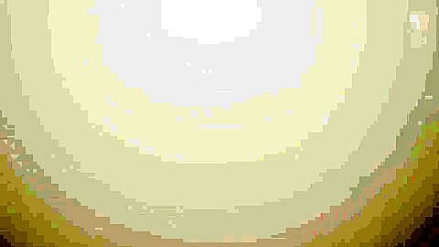 Fertility